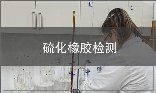 硫化橡膠檢測