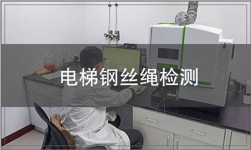 電梯鋼絲繩檢測(cè)