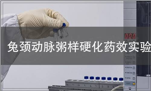 兔頸動脈粥樣硬化藥效實驗