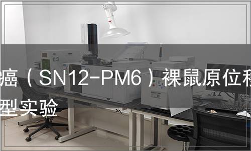 人腎癌（SN12-PM6）裸鼠原位移植模型實驗