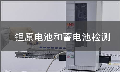 鋰原電池和蓄電池檢測(cè)