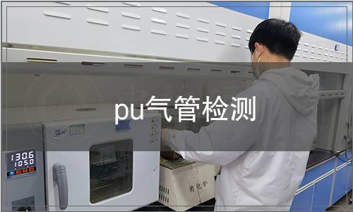 pu氣管檢測